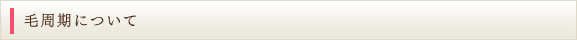 毛周期について