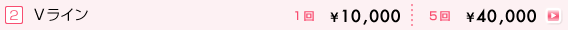 脱毛メニュー Vライン