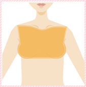 脱毛メニュー 胸