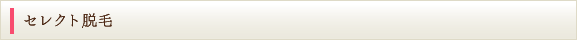 セレクト脱毛