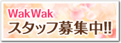 スタッフ募集
