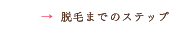 脱毛までのステップ|step
