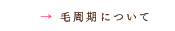 毛周期について|syuuki